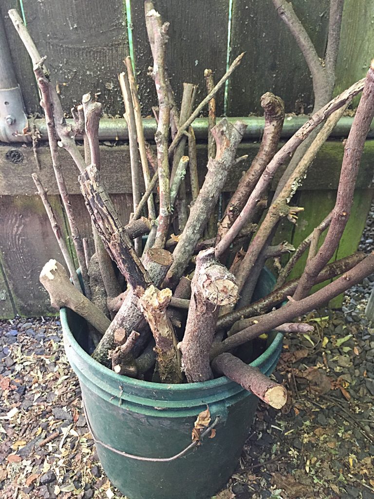 Extra Thick Wood Tree Branches for Arts, Crafts, Home Decor, Habitat